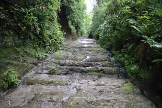 120504asaina-tochu.jpg
