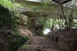 120504asaina-yokoyoko.jpg