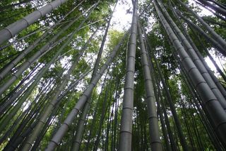 120504takedera.jpg